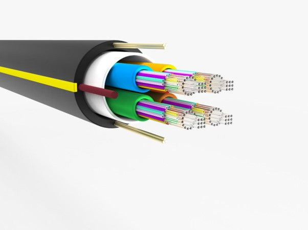 Welcome to the DexGreen newsletter!